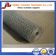 Hexagonal Wire Mesh for Poultry Cage (ISO9001: 2008 professional manufacturer)